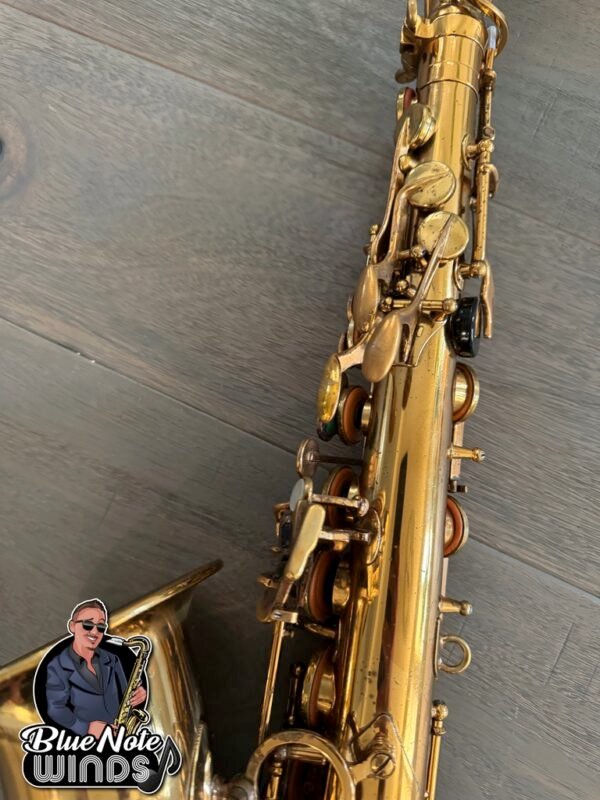 Selmer Mark VII Alto Sax-Original 243,xxx Beauty! - Image 15
